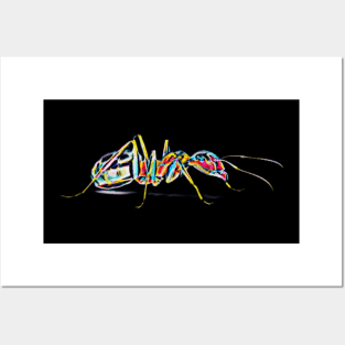 Ant Posters and Art